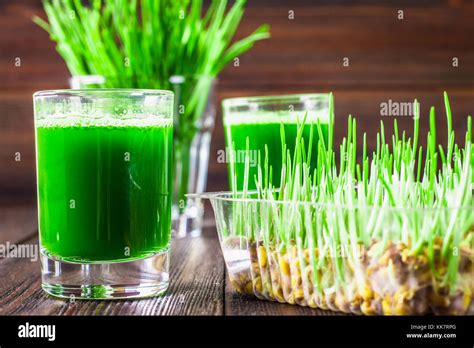 Wheatgrass Shot Juice From Wheat Grass Trend Of Health Stock Photo