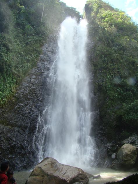 Historia Guayabal