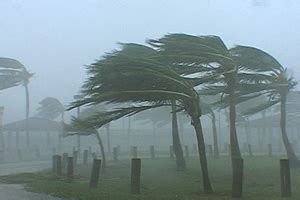 Hurricane Wilma Video News - Stock Photos, Radar, Satellite Image and ...