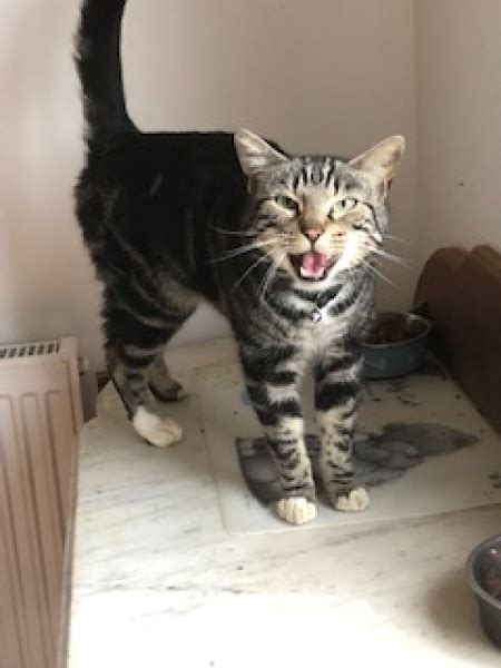 Show Me Your Pussy Mumsnet