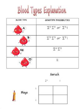 Winter Genetics Heredity Traits And Inheritance Punnet Square BLOOD