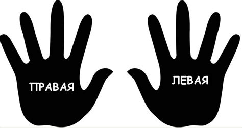 Где право, где лево? | Детское развитие | Математические факты, Занятия ...