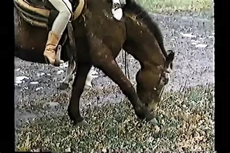 Justine A Matter Of Innocence 1980 Hardcore Porn Feat Robin Sane By Titty Holes XHamster