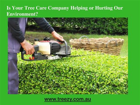 Ppt Is Your Tree Care Company Helping Or Hurting Our Environment