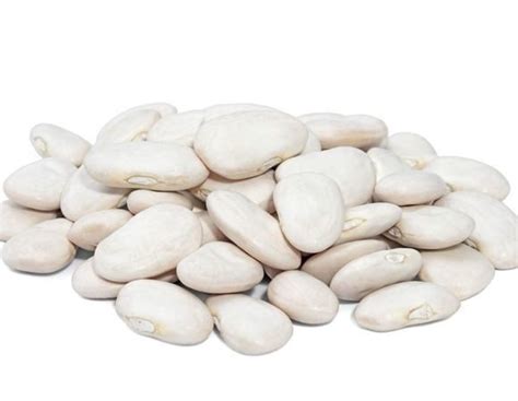 Фасоль московская белая зеленостручная 556 описание сорта фото