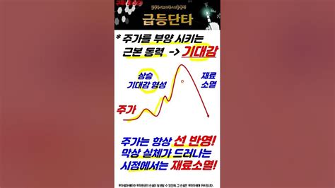 필수시청 급등주의 법칙 주가를 끌어올리는 힘 Shorts Youtube