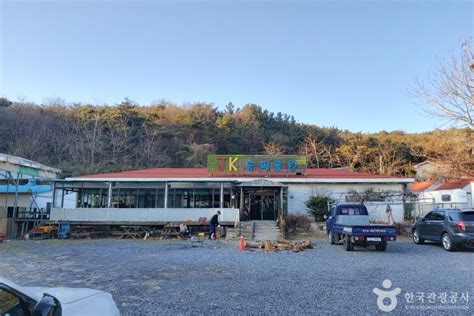 Jk승마장 울산광역시 울주군 가볼만한곳 관광지랭킹