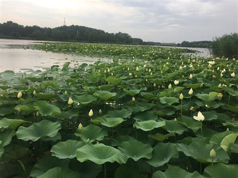 Plastunovskaya, Russia 2023: Best Places to Visit - Tripadvisor