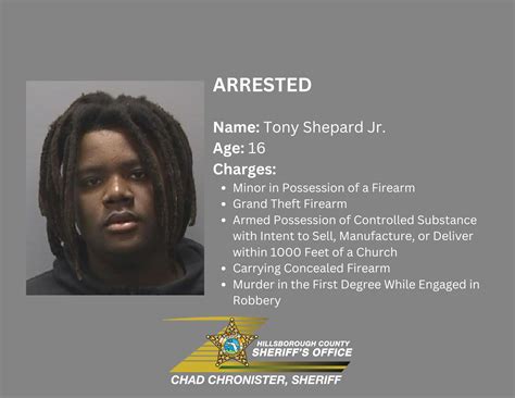 🚨𝐀𝐫𝐫𝐞𝐬𝐭🚨 The... - Hillsborough County Sheriff's Office | Facebook