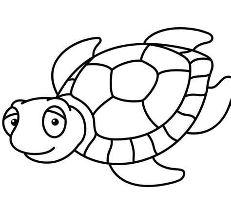 How To Draw A Cute Turtle