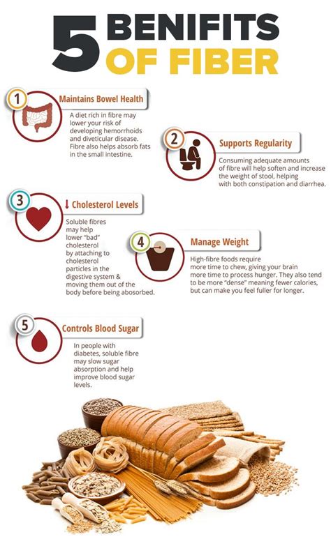 Different Types Of Fiber And Their Different Health Benefits To Your