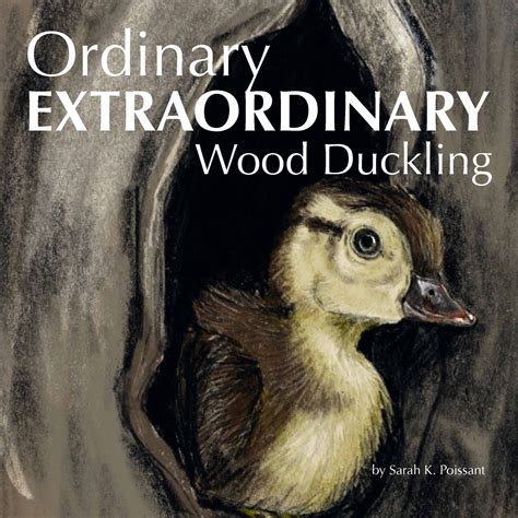 Ordinary Extraordinary Wood Duckling by Sarah K. Poissant | Goodreads