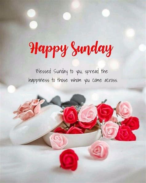 150 Best Happy Sunday Wishes Messages And Quotes Funzumo