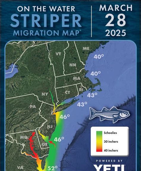 Betty and Nicks Bait and Tackle Fishing Club | Facebook