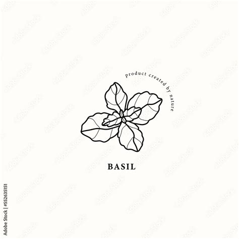 Line art basil branch illustration Stock Vector | Adobe Stock