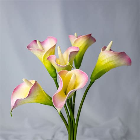 Yellow Pink Mini Calla Lily Realistic Artificial Flowers