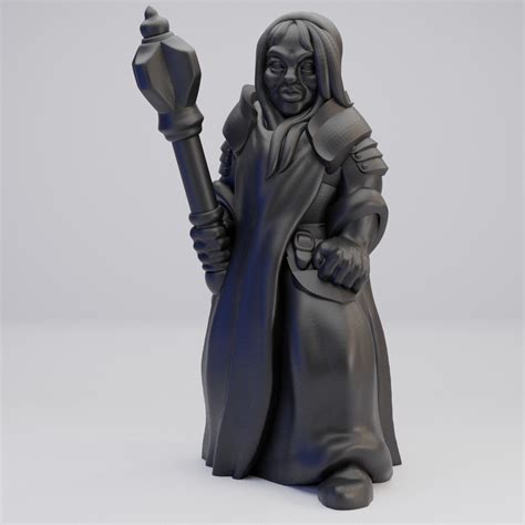 Hot Goblin 聖職者女性ミニチュア ホットゴブリン TRPG 信仰の戦士