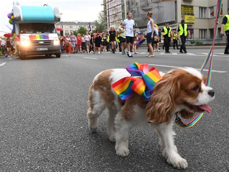 Polonia Masiva Marcha Del Orgullo Gay En Medio De Un Clima De Odio Infobae