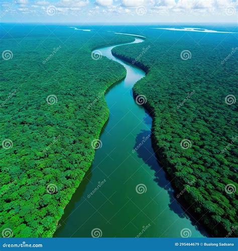 Amazon River and Jungle Aerial Stock Illustration - Illustration of ...