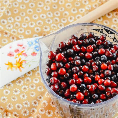 The Best 10 Huckleberry Recipes | For Any Amount of Huckleberries | Huckleberry recipes ...