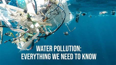 Water Pollution: Everything We Need To Know | Clean Water International