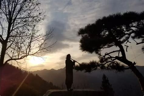 Master Zhou Xin Chen - Wudang Kung Fu School China