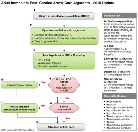 Pin En Anesthesiology Pearls