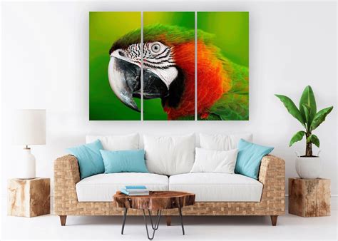 Parrot Bird Print Parrot Art Parrot Wall Art Parrot Wall Decor Etsy