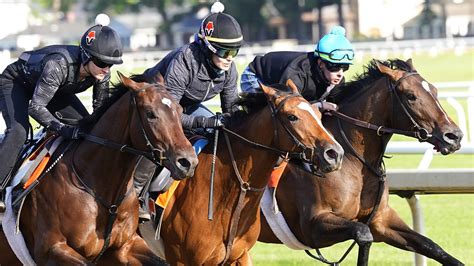 how to horse racing betting 7