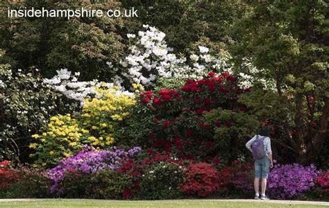 Photos Of Exbury Gardens And Steam Railway Insidehampshire