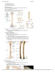 Comprehensive Study of Bone Tissue Composition and Structure | Course Hero