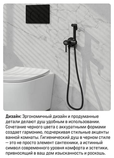 Гигиенический душ для унитаза биде со смесителем черный REIHEL - купить ...