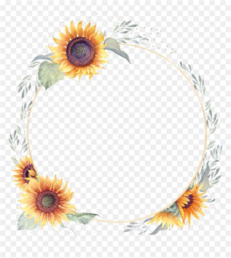 Transparent Sunflower Border Png Transparent Background Sunflower