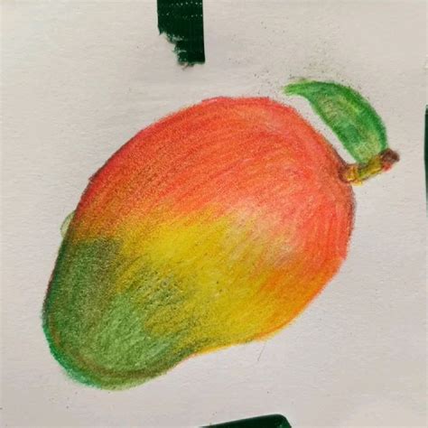 mango mango color pencil drawing fruit mango drawing mango sketch