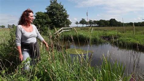 De Heest Gasteren - YouTube