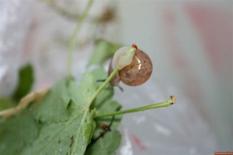 Amateur Lovers Nude Photos Porn Pic