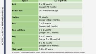 Andrology Lecture Puberty And Sex Maturity Pdf