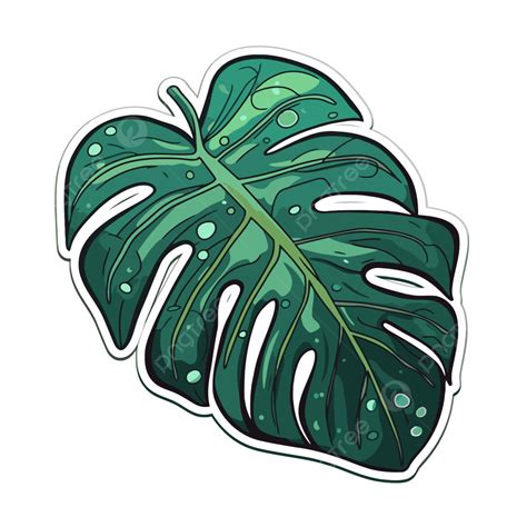 Grünes Monstera Blatt Aufkleber Clipart Vektor Aufkleberdesign Mit