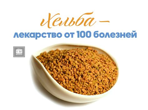 Хельба — лекарство от 100 болезней | muslim.kz