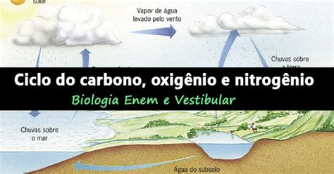 Nitrogênio E Oxigênio - Veja agora os Ciclos do carbono, oxigênio e do nitrogênio- Biologia Enem