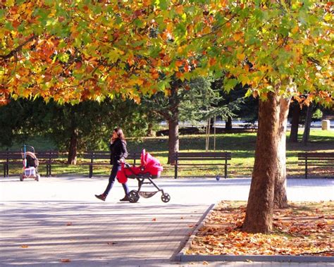 Есен - Вестник Борба - областен всекидневник, Велико Търново