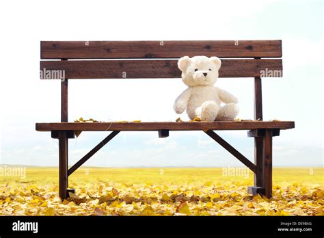 Toy Bear On Bench Stock Photo Alamy