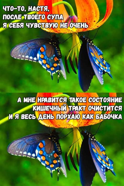 Супчик | Пикабу