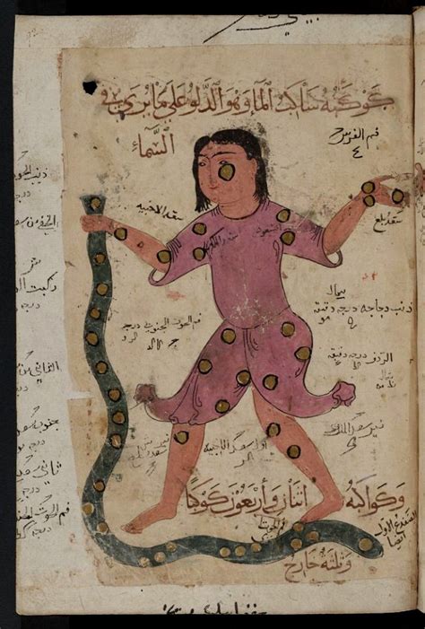 kitab al bulhan man  snake  stock illustrations creazilla