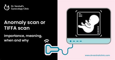 Anomaly Scan Or Tiffa Scan Importance Meaning And Report