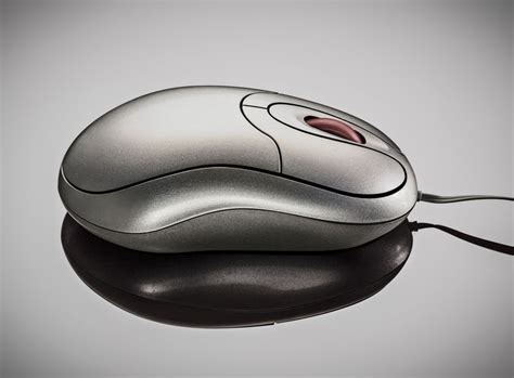 Computer Mouse