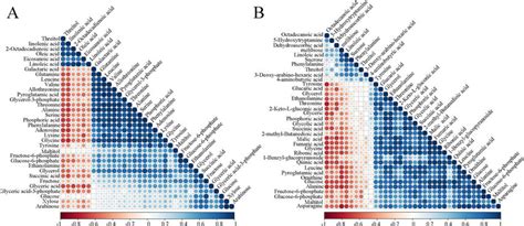 Metabolite Metabolite Correlation Analysis Positive Correlations Are