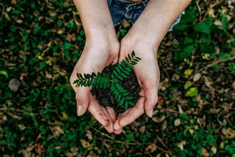 Entenda o que é uma empresa sustentável e como se tornar uma