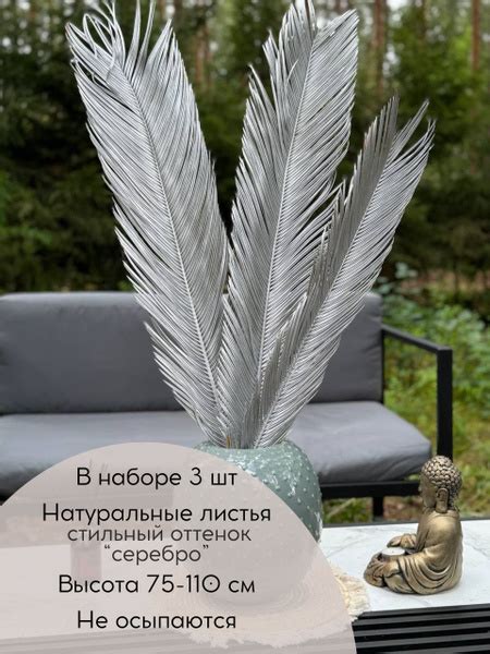 Сухоцветы Пальмовые листья, 90 см, 300 гр, 3 шт купить по выгодной цене ...