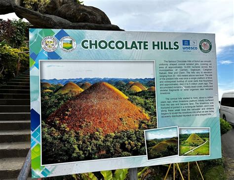 Bohol Chocolate Hills & Tarsier Tour from Cebu